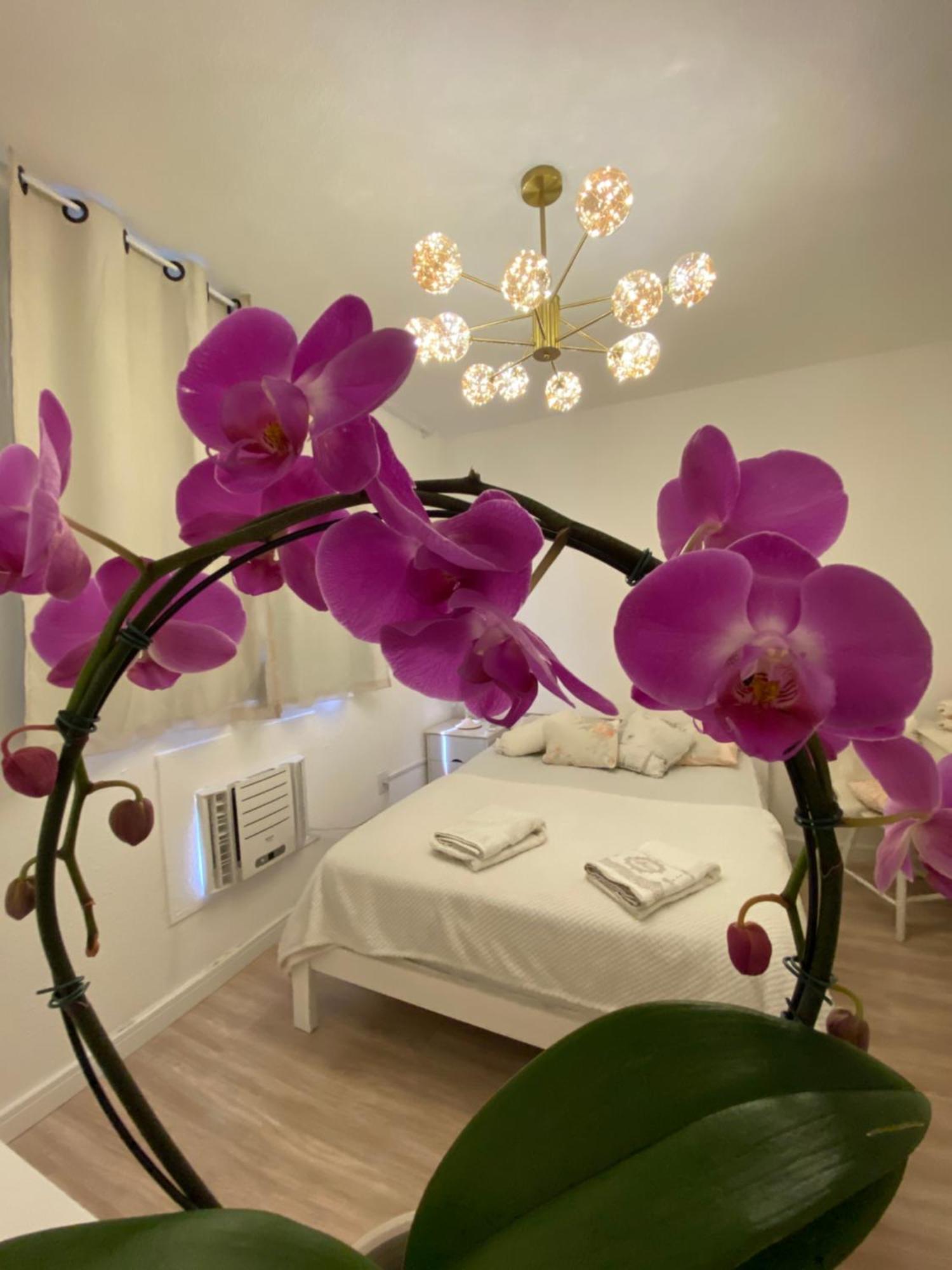 Apartamento Pontal Loft *